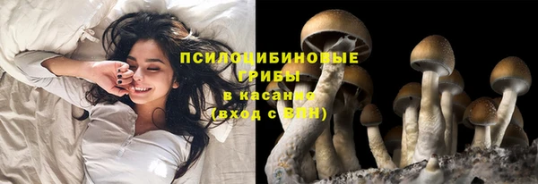 дурь Бронницы