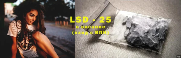 PSILOCYBIN Бородино