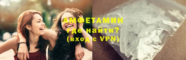 PSILOCYBIN Бородино