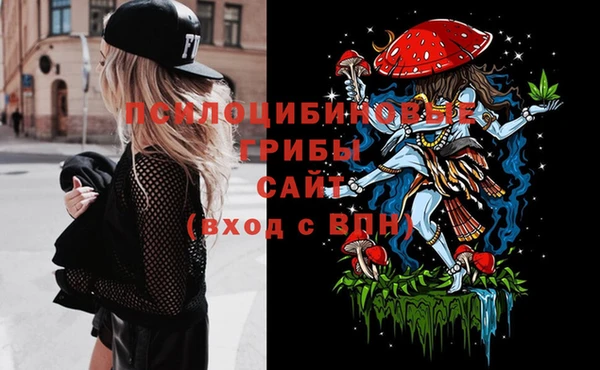 PSILOCYBIN Бородино