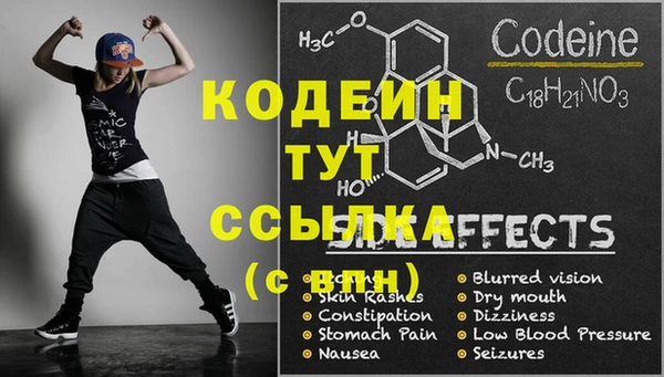 PSILOCYBIN Бородино