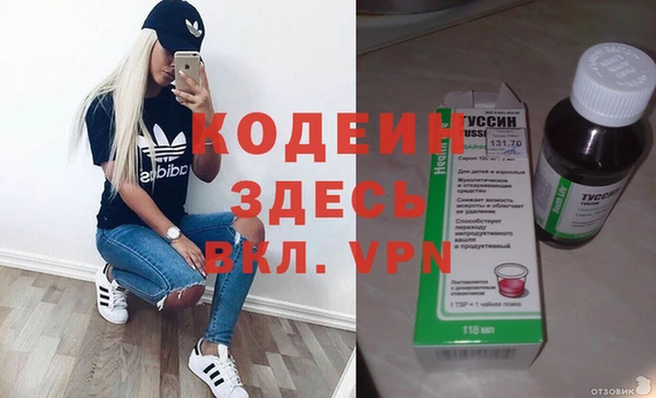 PSILOCYBIN Бородино