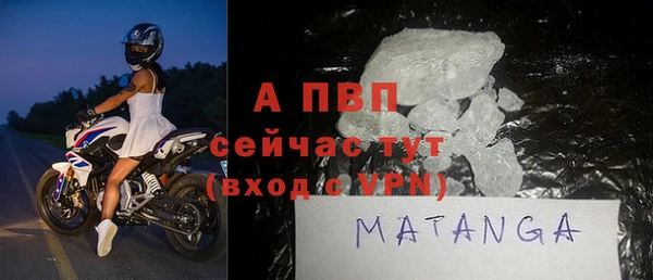 PSILOCYBIN Бородино