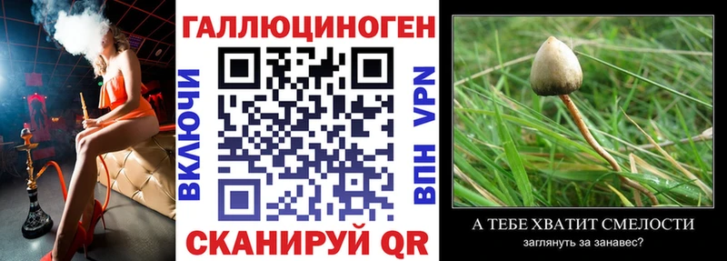 Галлюциногенные грибы MAGIC MUSHROOMS  Балашиха 